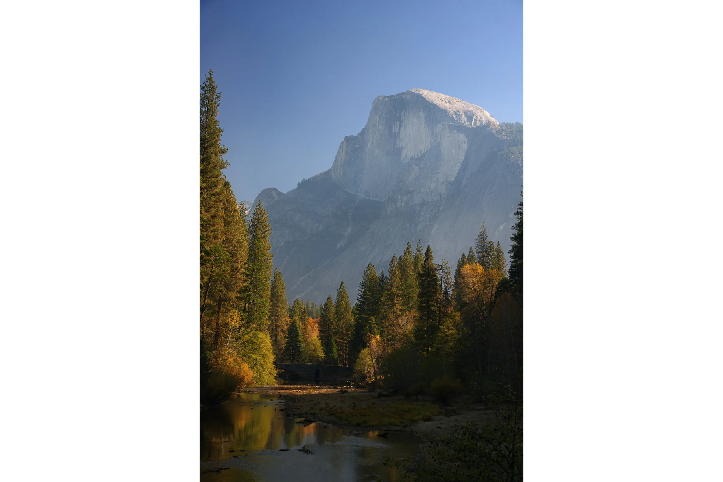 Watching over Yosemite Valley