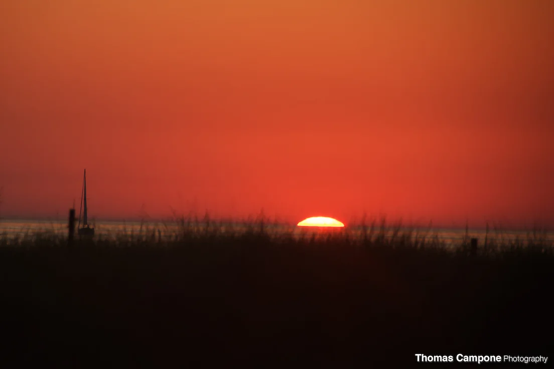 200mm - f5.6 - 1/250 sec - ISO 160
