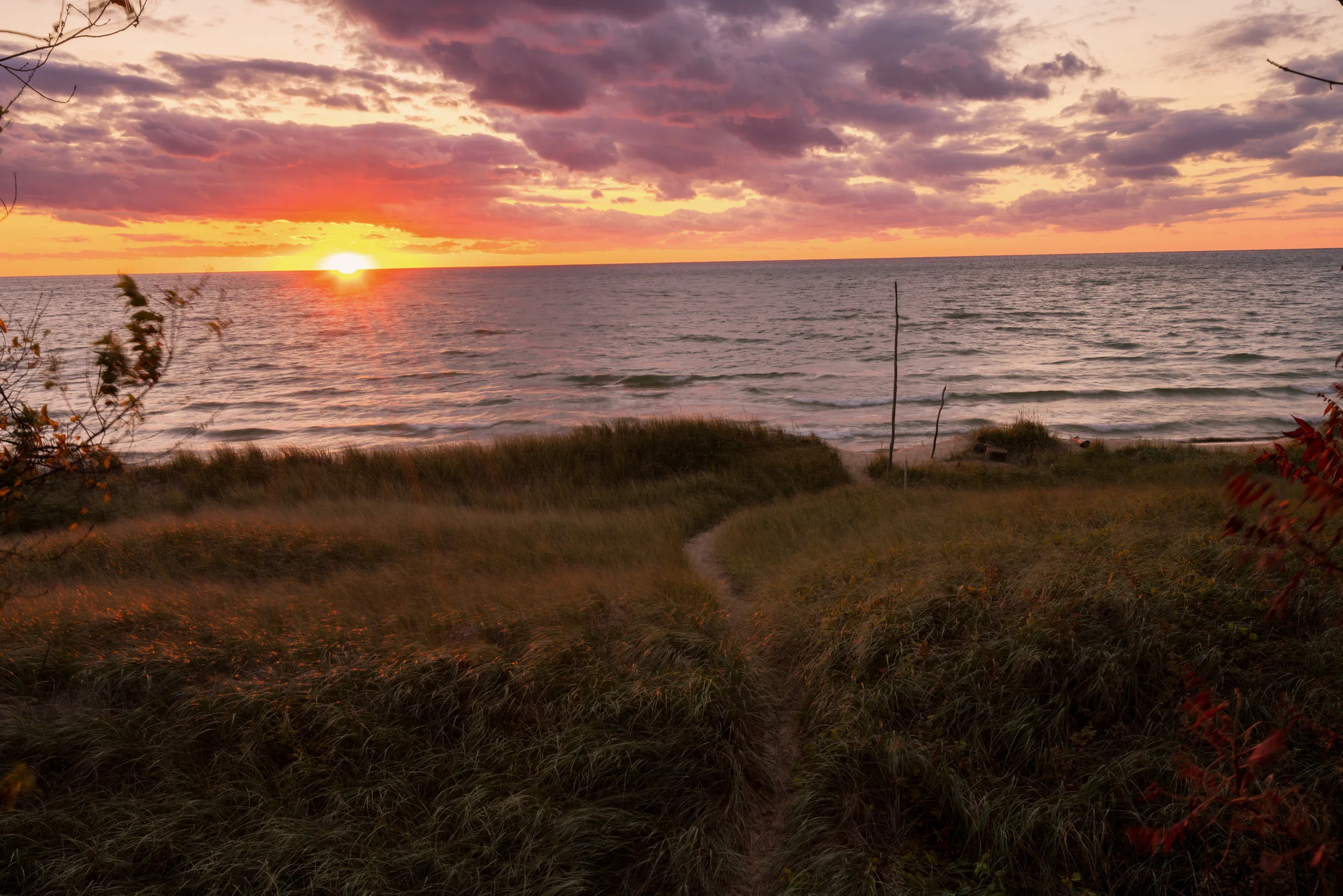 Pure Michigan