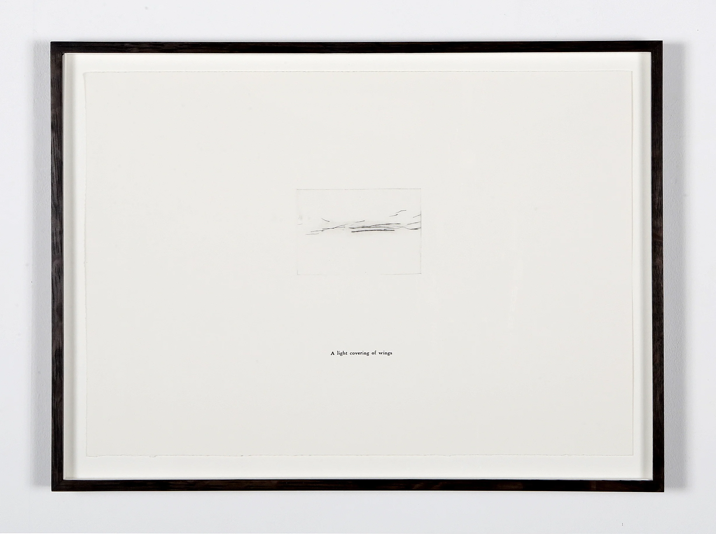 A Light Covering of Wings , drypoint and letterpress, 34.5cm x 49.5cm, 2018