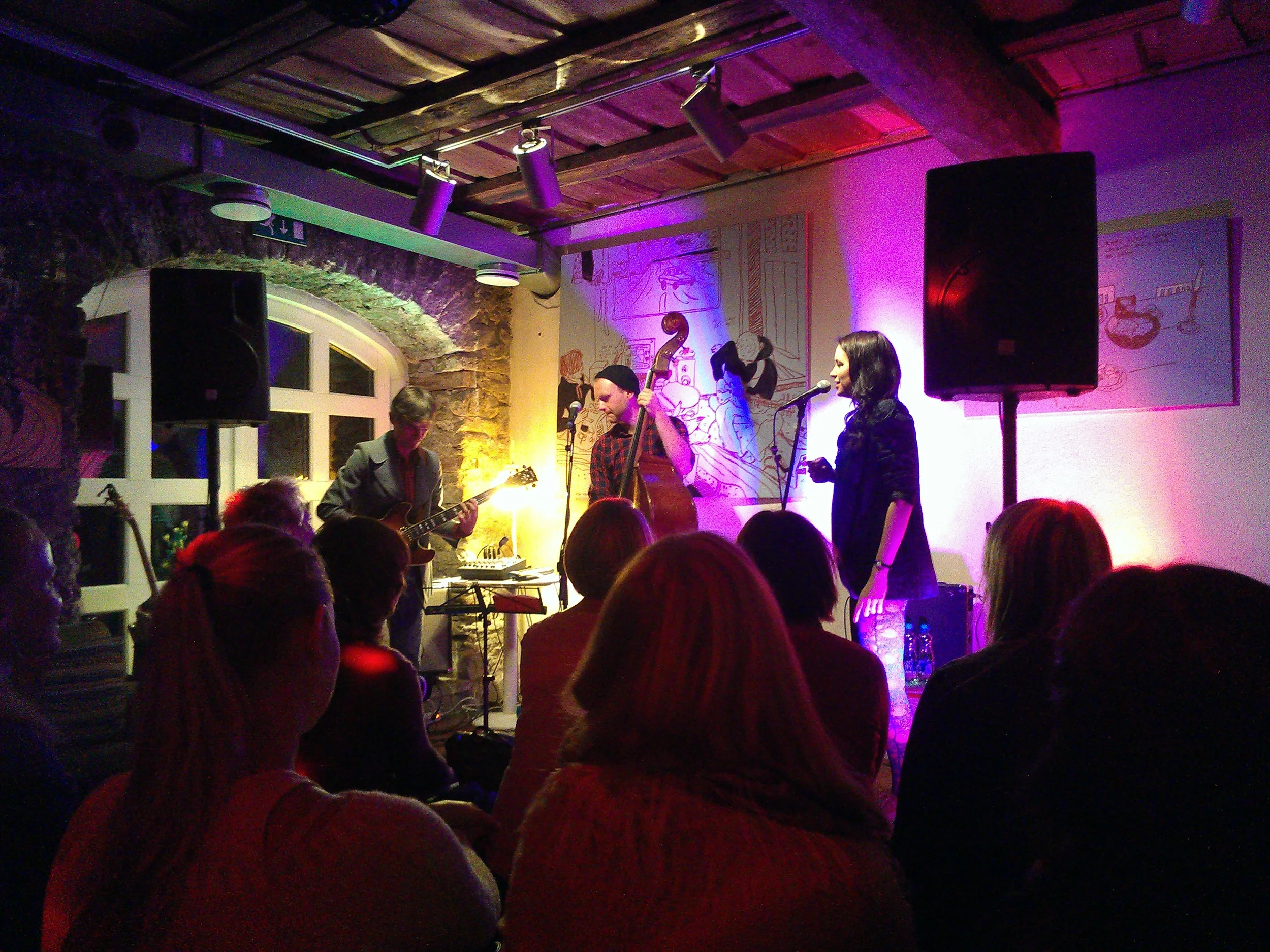 The Liisi Koikson Trio at the Must Puudel, Tallinn, 30/09/2013
