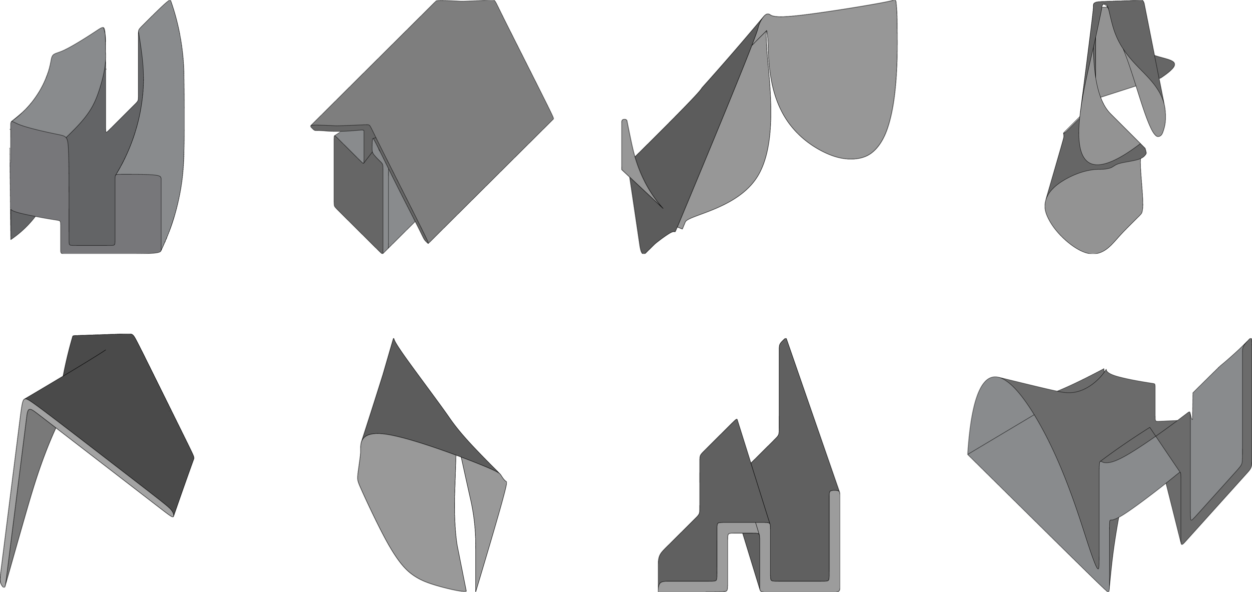 Taxonomy