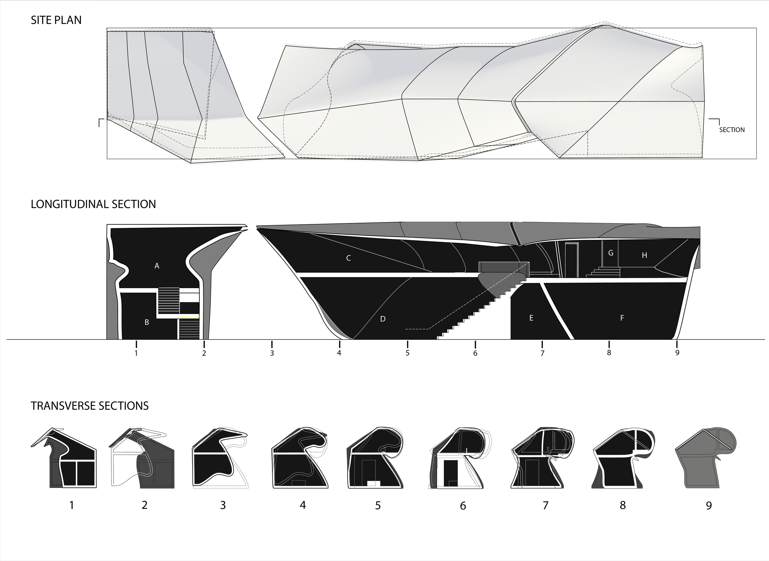Site plan_Long Sec_Trans Sec-01.png