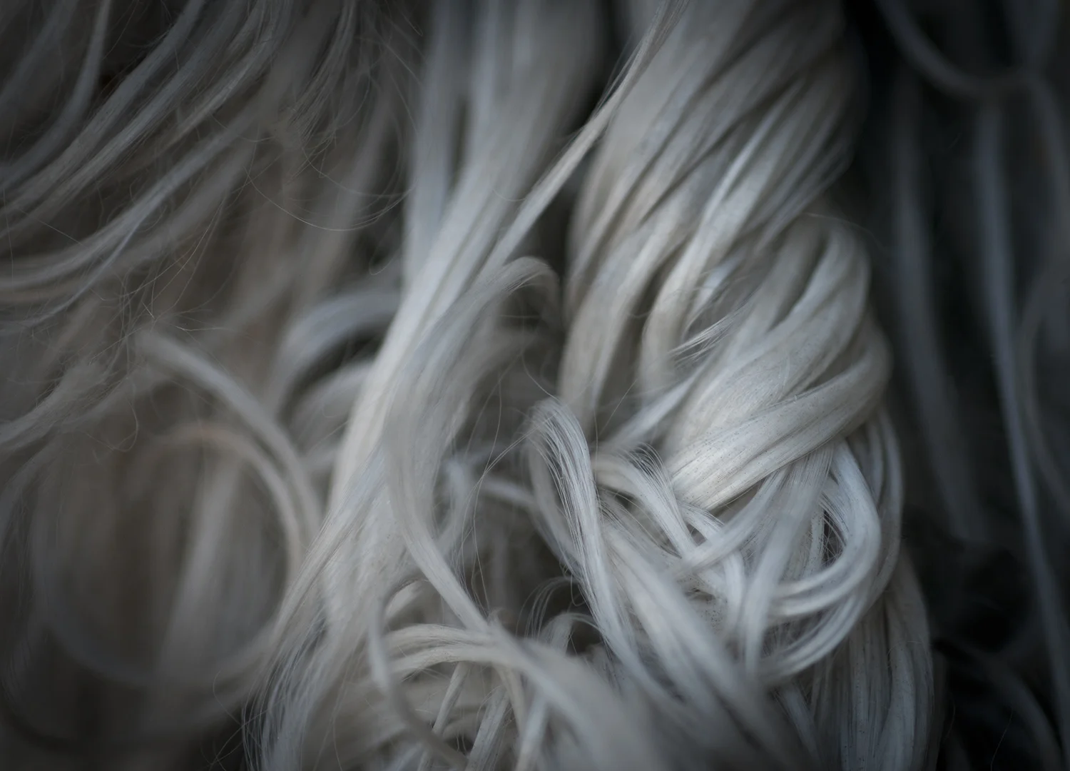 Ravel, 2012 9.6" x 13.2" archival pigment print