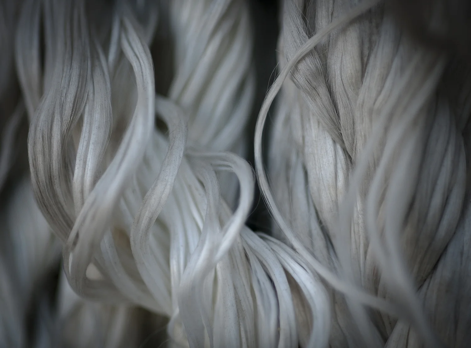Helix, 2012 9.5" x 12.8" archival pigment print