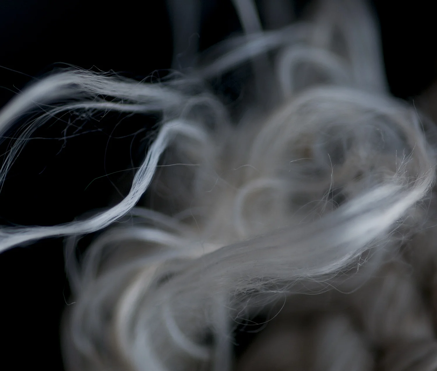 Snit, 2012 9.5" x 11.2" archival pigment print