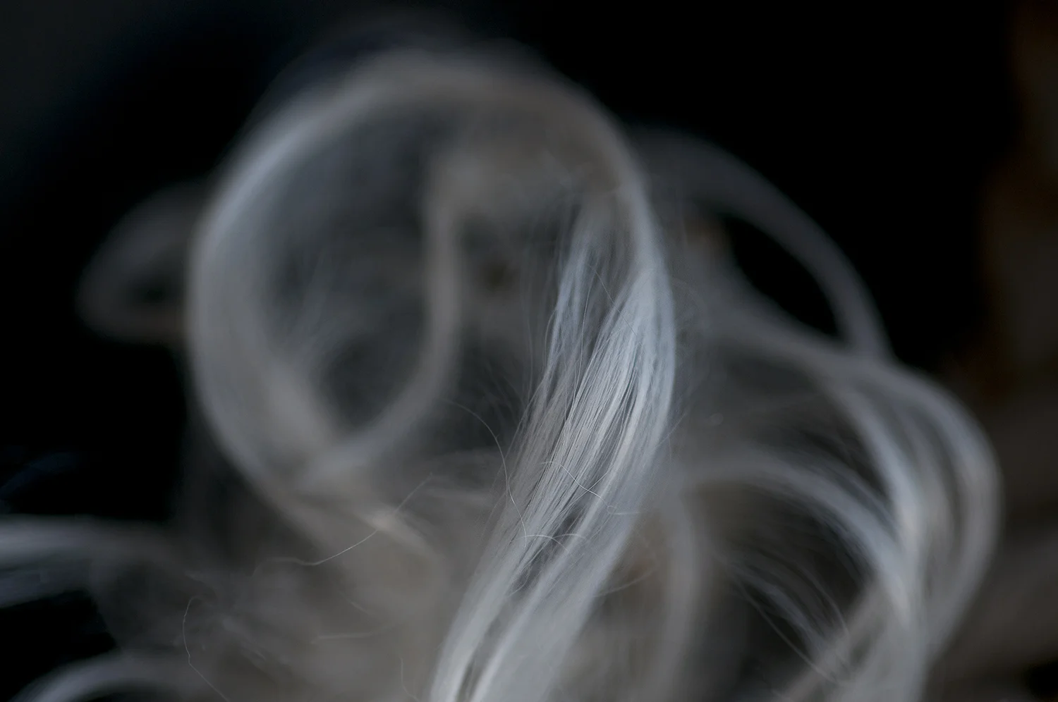 Wisp, 2012 9.5" x 14.3" archival pigment print