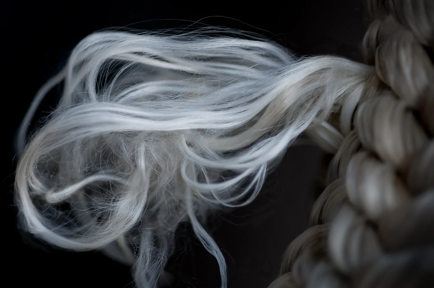 Snag, 2012 9.5" x 14.3" archival pigment print
