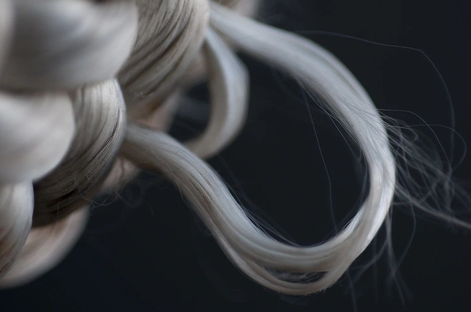 Loop 1, 2012 9.5" X 14.3" archival pigment print
