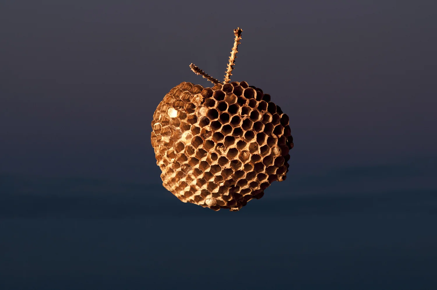 Satellite II, Variation 1, 2013 20" x 30", digital pigment print