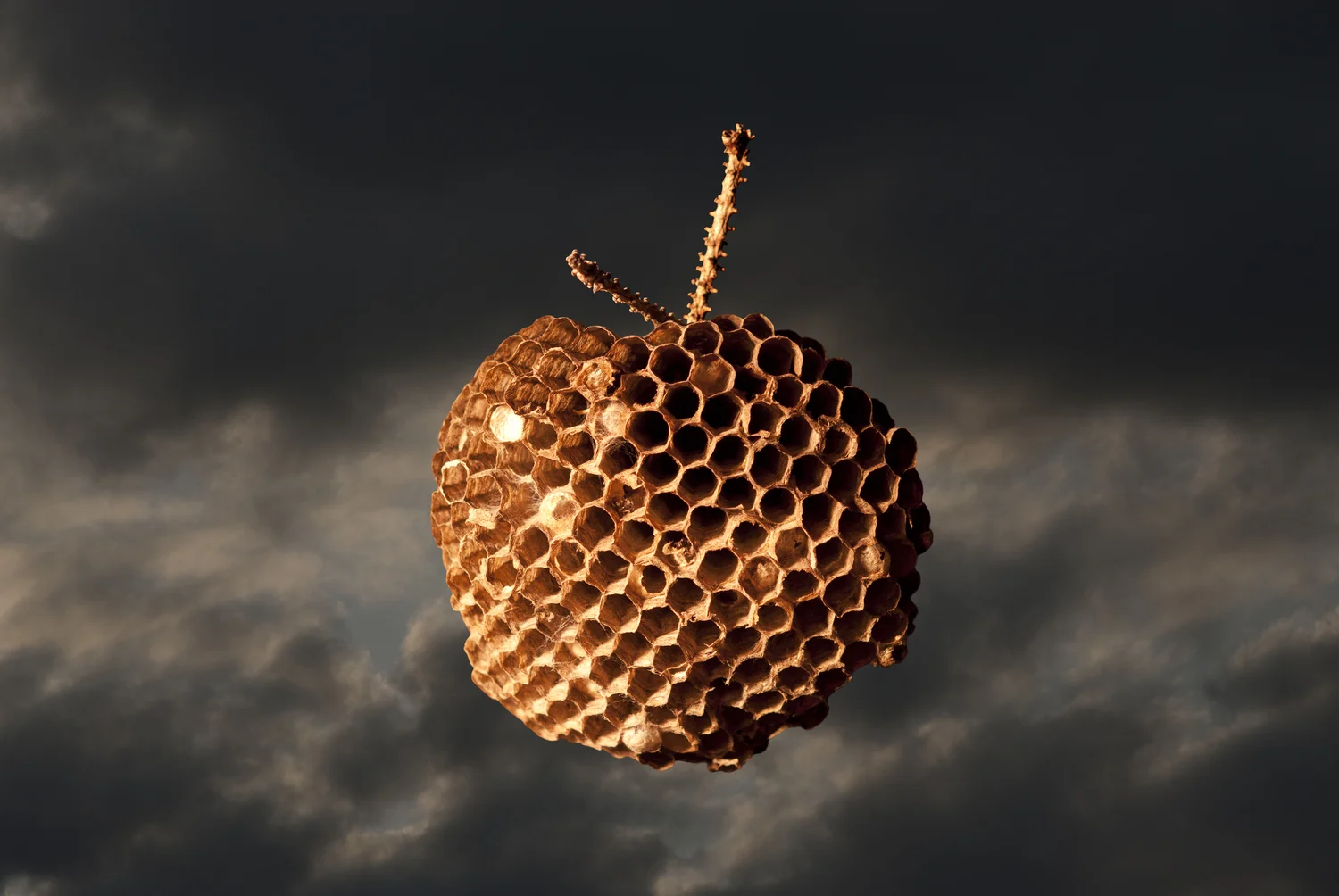 Satellite II, Variation 2, 2013 20" x 30", digital pigment print