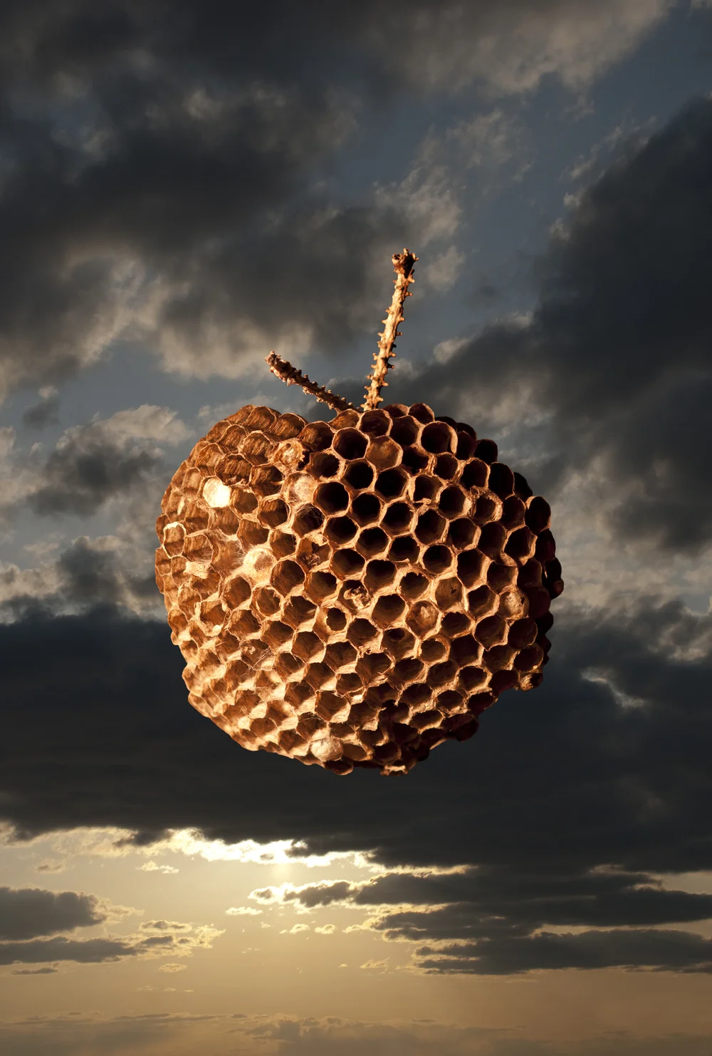 Satellite II, Variation 3, 2013 30" x 20", digital pigment print