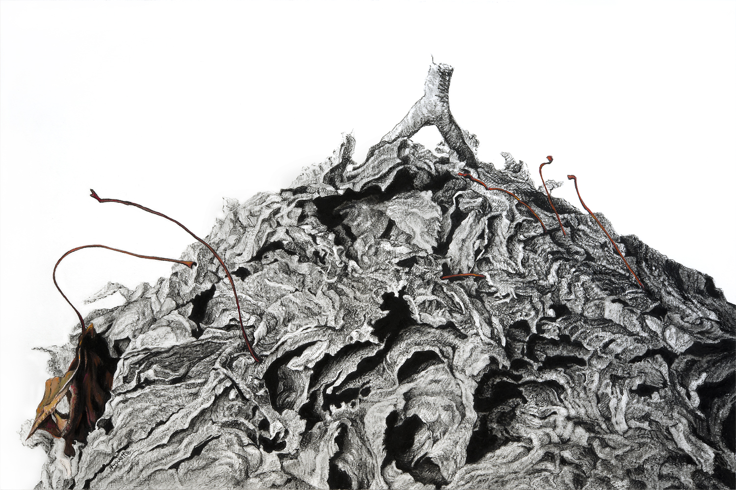 Red Stems, 2013 15" x 21", charcoal, pastel, acrylic, and pencil on paper