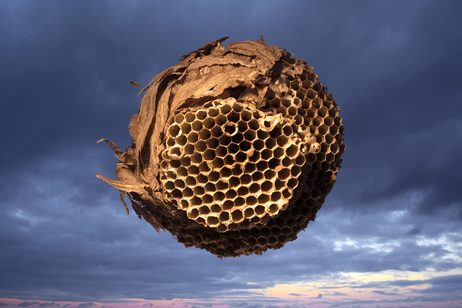 Satellite IX, 2013 20" x 30", digital pigment print