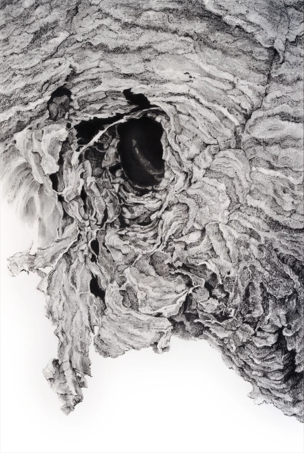 Portal I, 2013 18 3/4" x 22 3/4", charcoal on paper