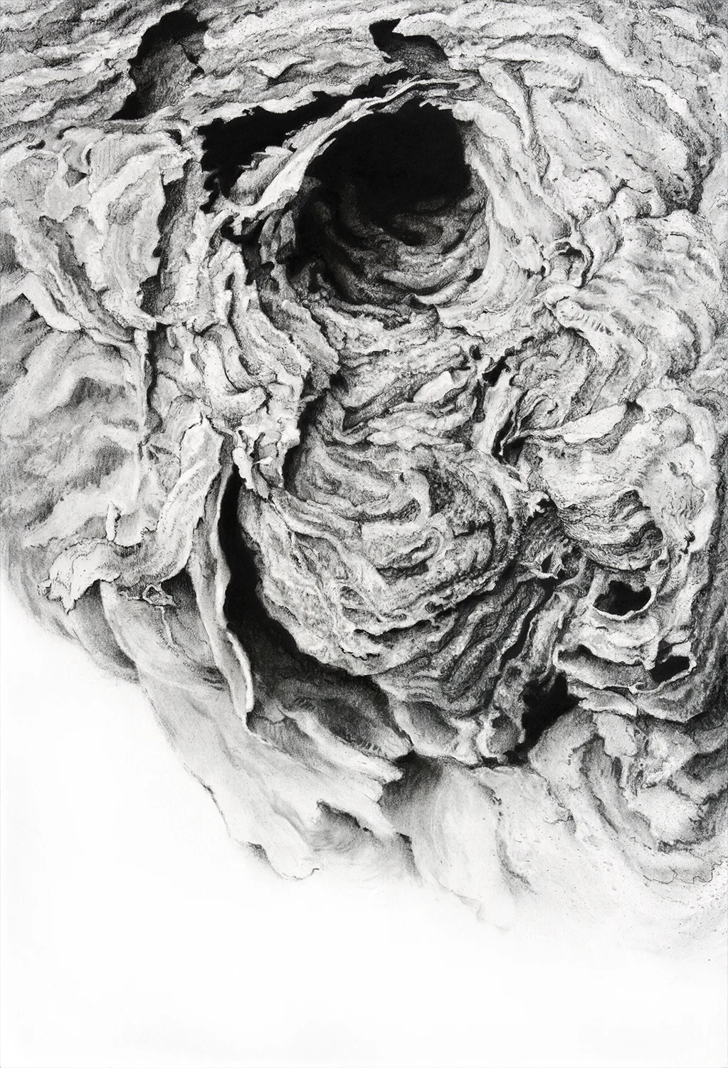Portal II, 2013 18 3/4" x 22 3/4", charcoal on paper