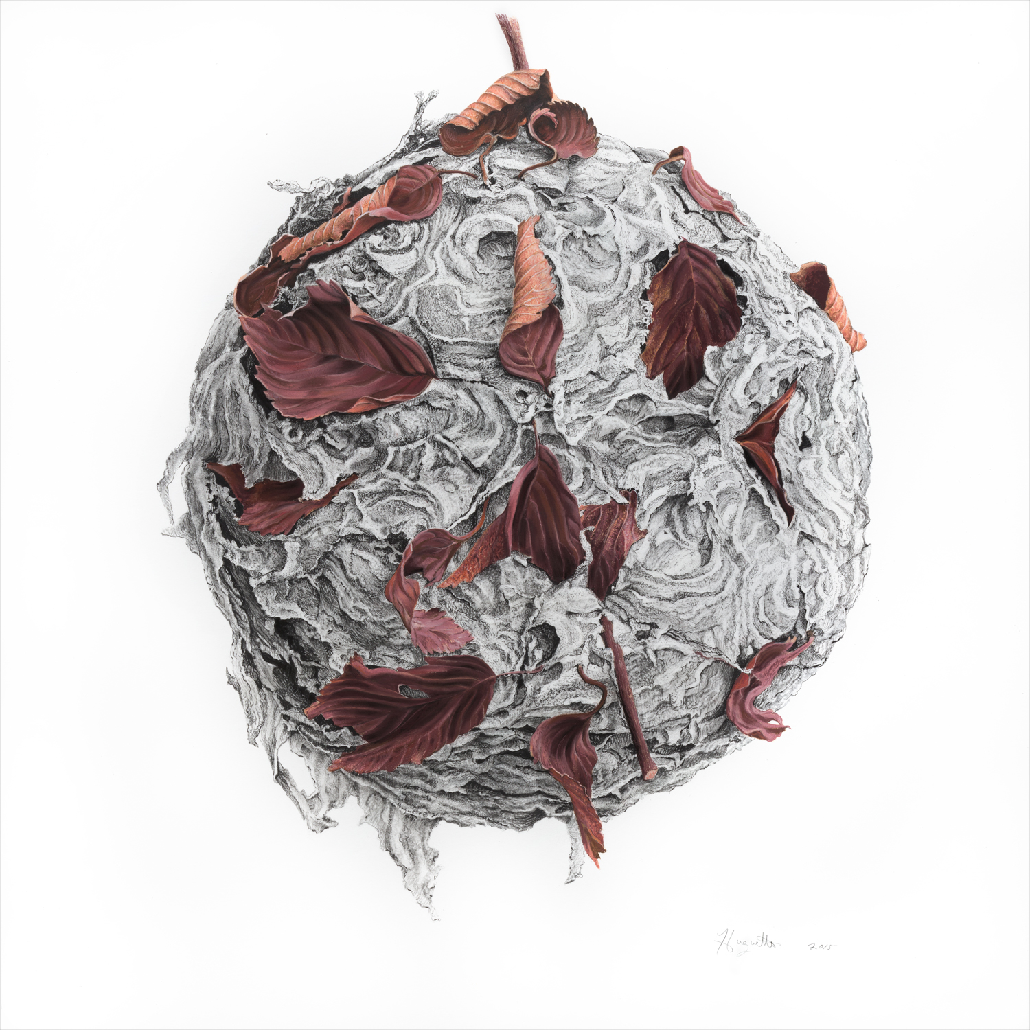    Globe, 2015    21" x 21", charcoal and pastel on paper 