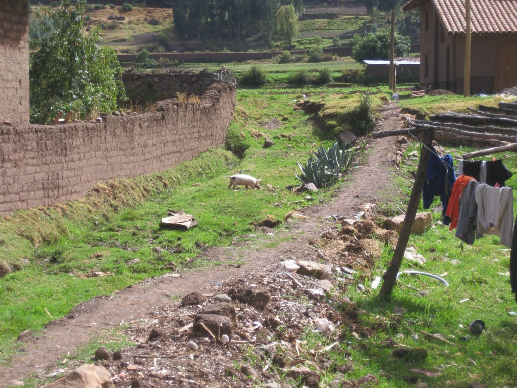 peru-013-1024x768.jpg