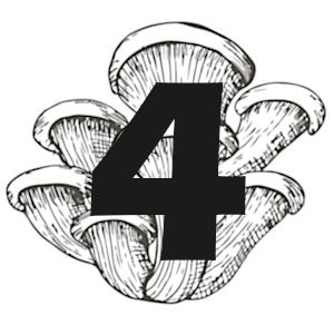 Chapter 4