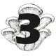 Chapter 3