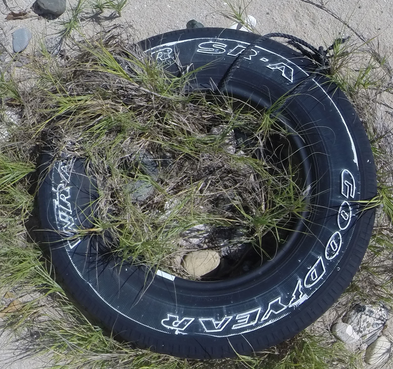 Tire Garden