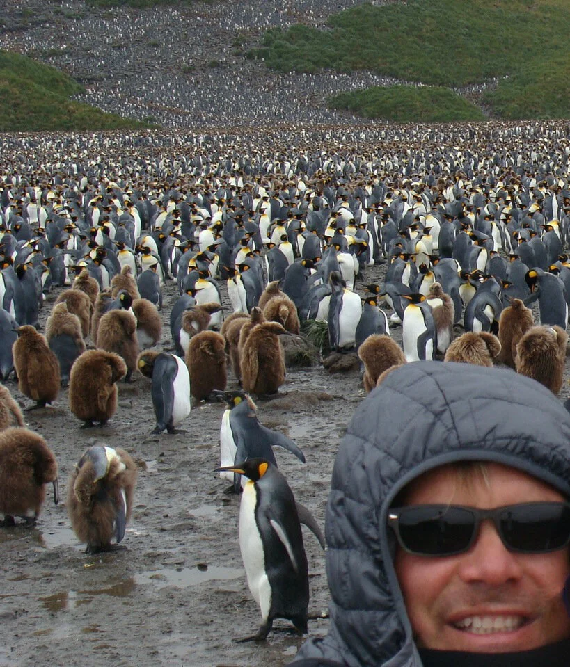 Sean and penguins.jpeg