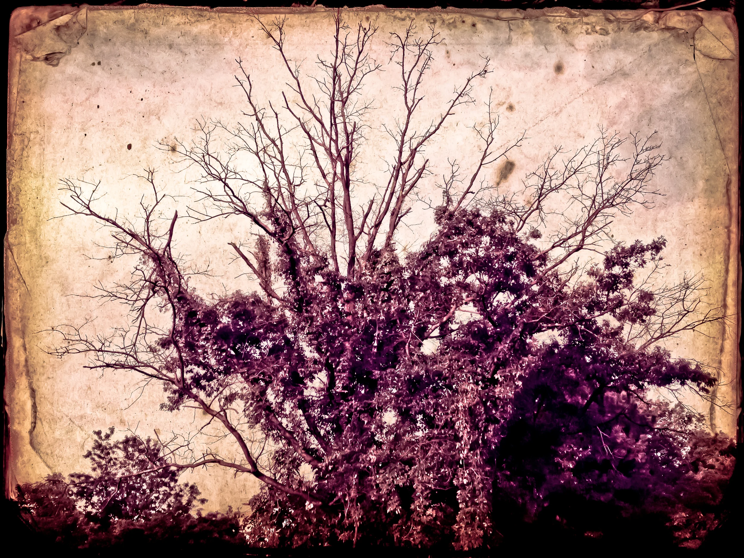 Grasping For Air