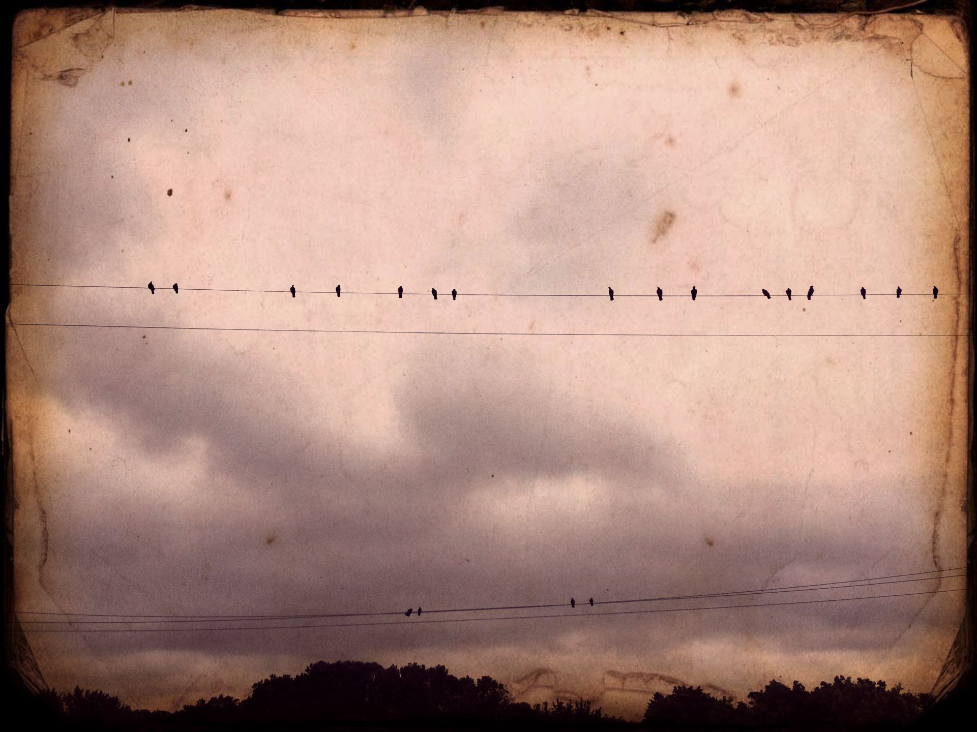 A Poetic Massacre