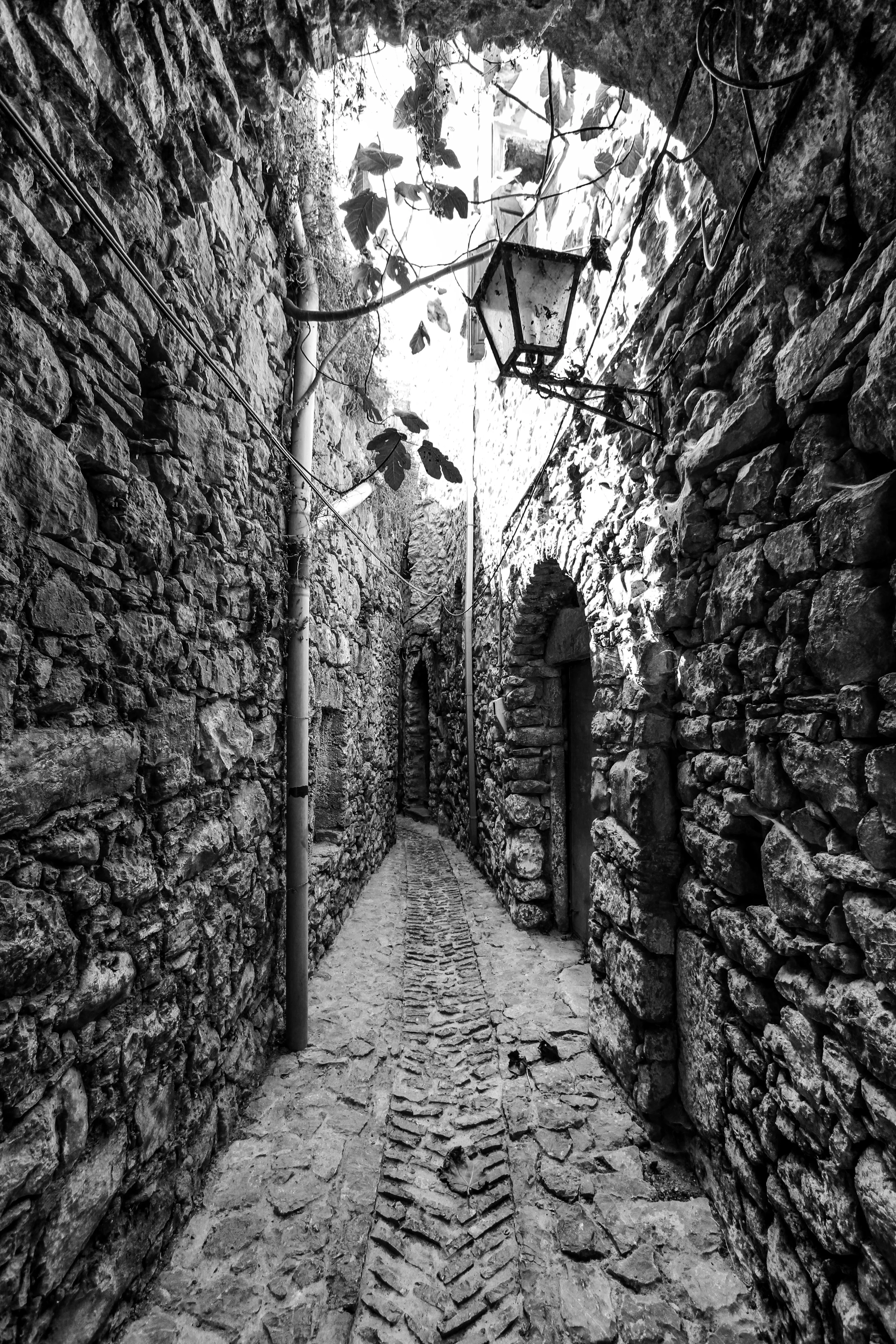 IMG_2538 (2).jpg