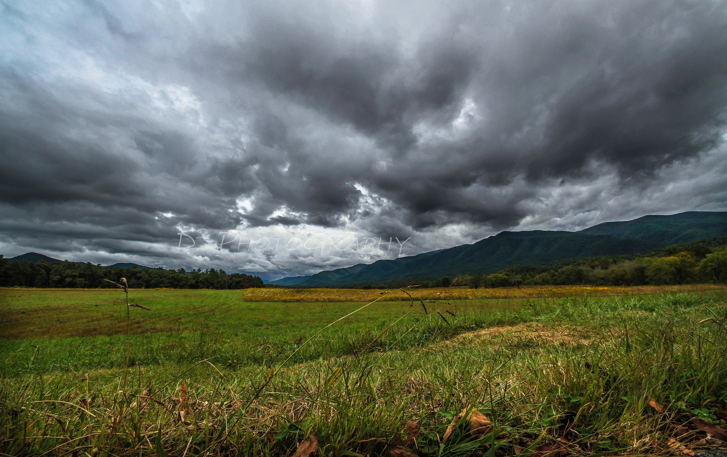 IMG_2003 f cades cove.jpg
