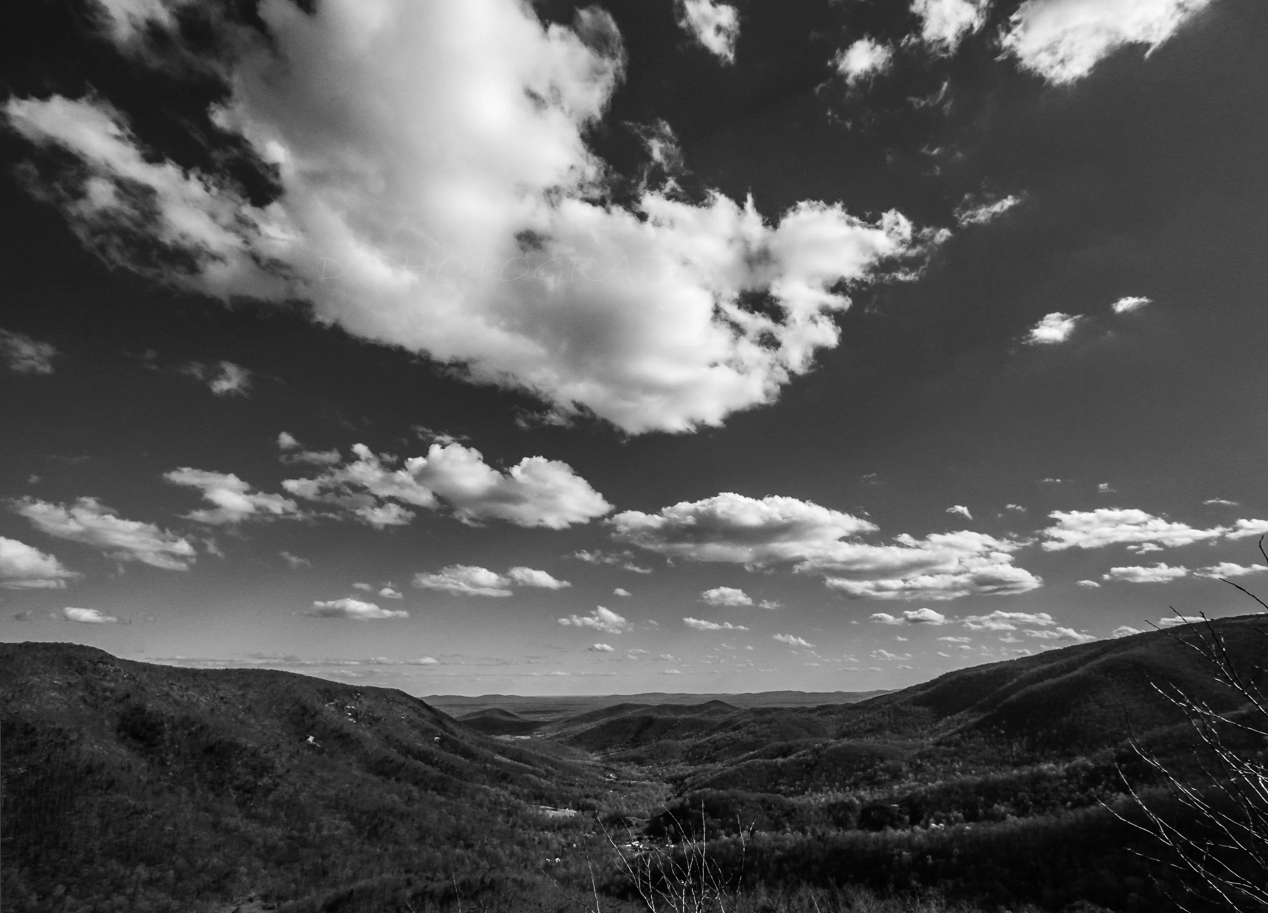 Untitled_Panorama1 bw f.jpg