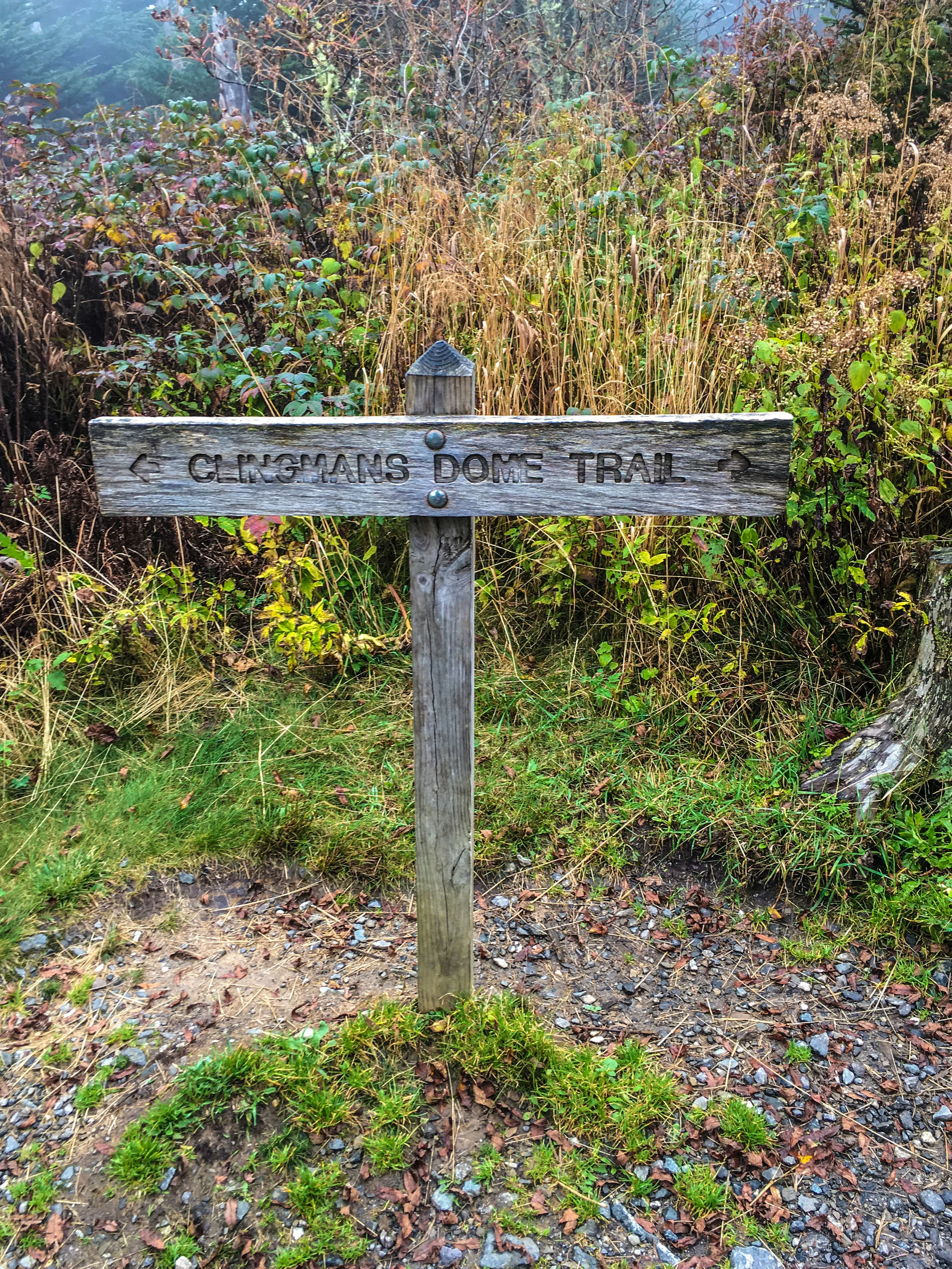 Clingmans Dome Trail f (2).jpg