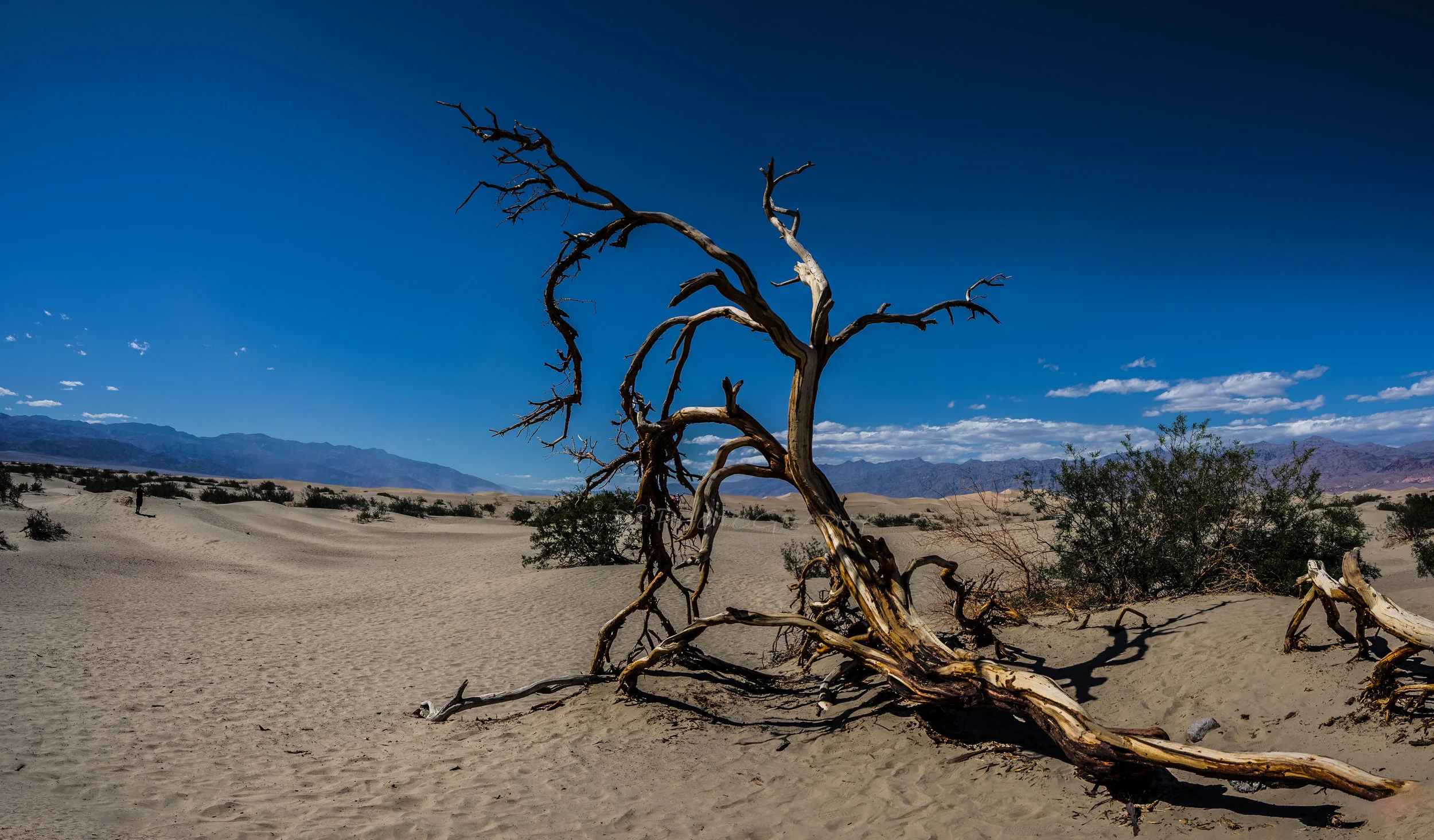 Death Valley 1 f_1.jpg