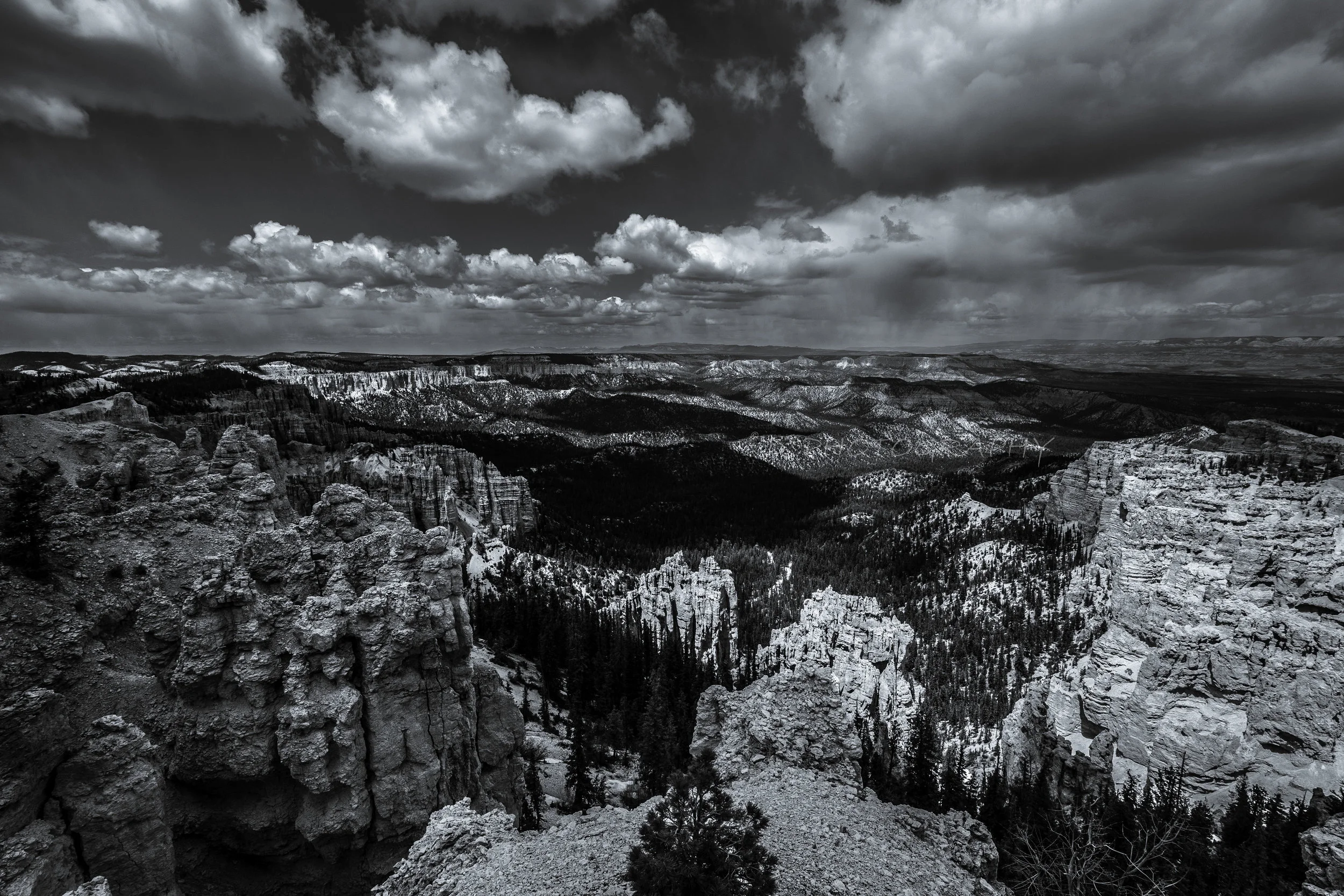 DSC00693 f (2).jpg