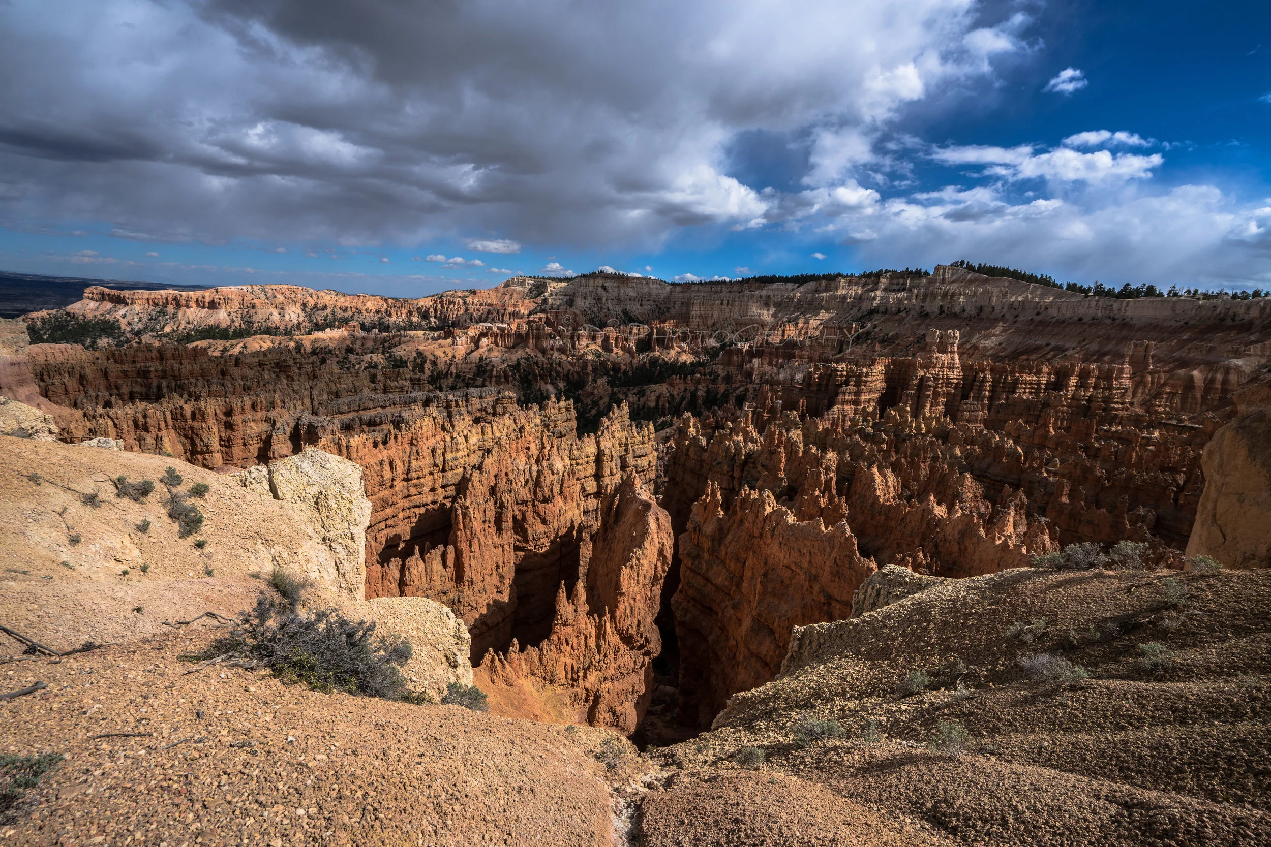 DSC00755 f_1.jpg