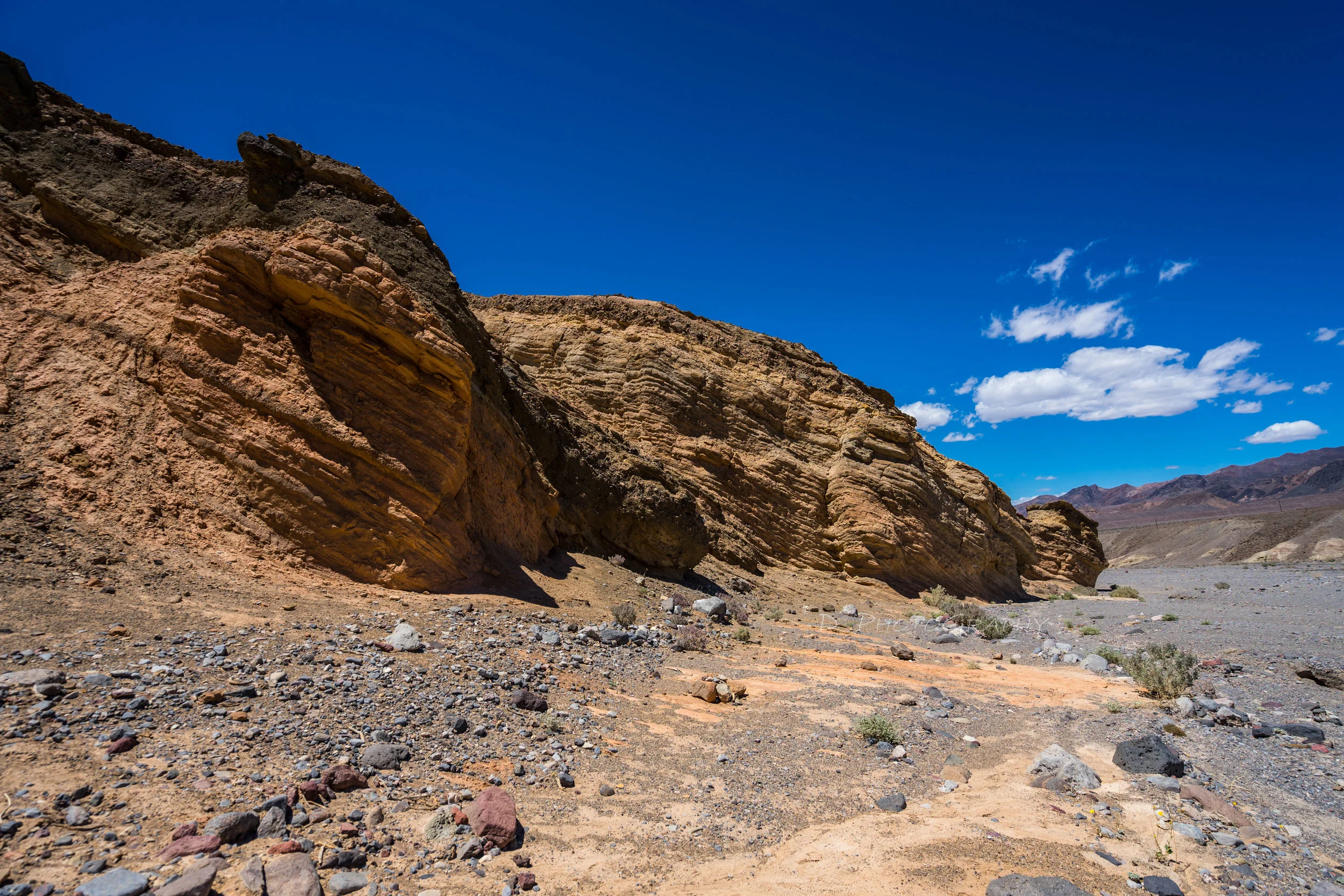 DSC01119 f_1.jpg