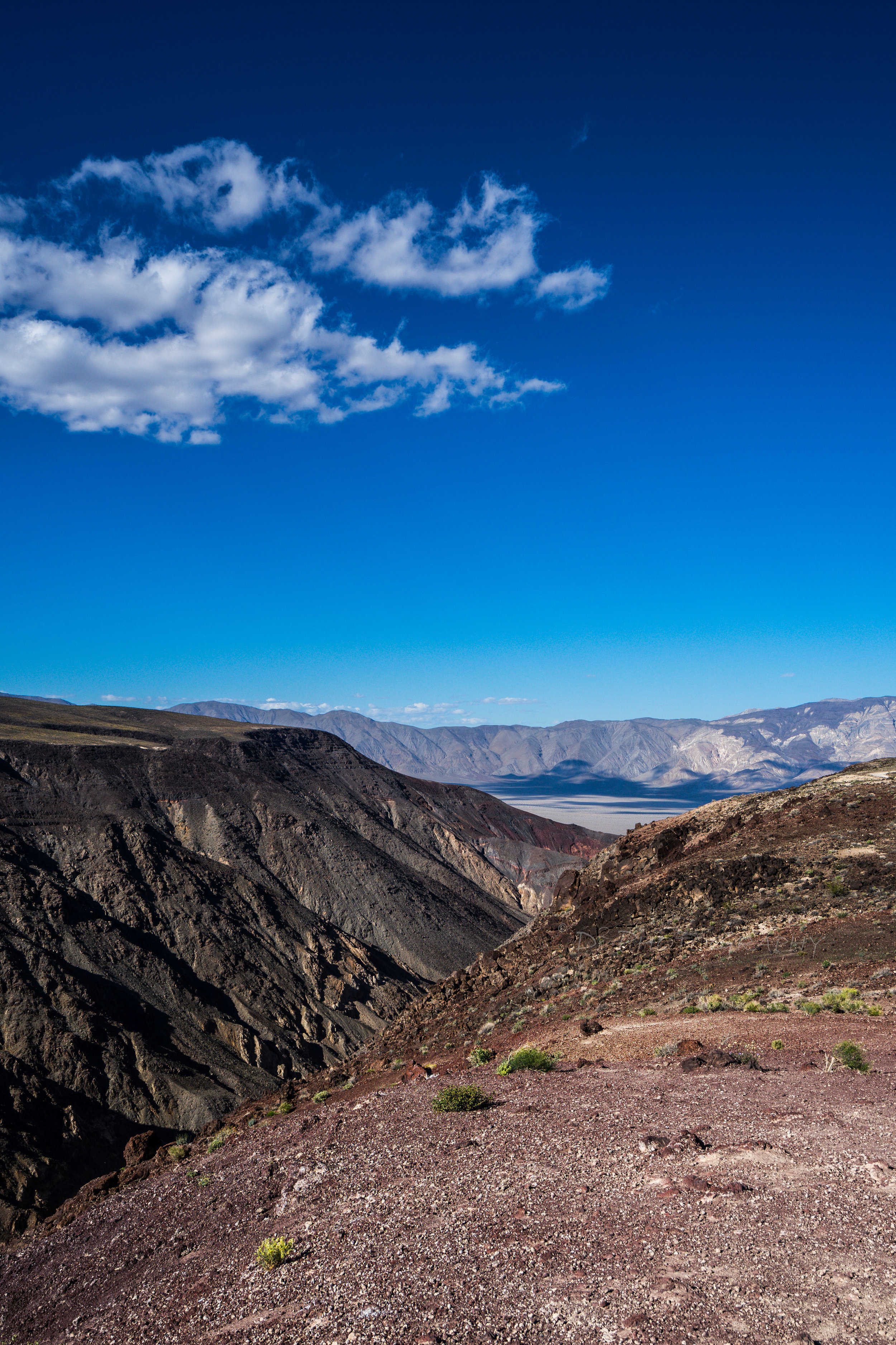 DSC01212 f_1.jpg