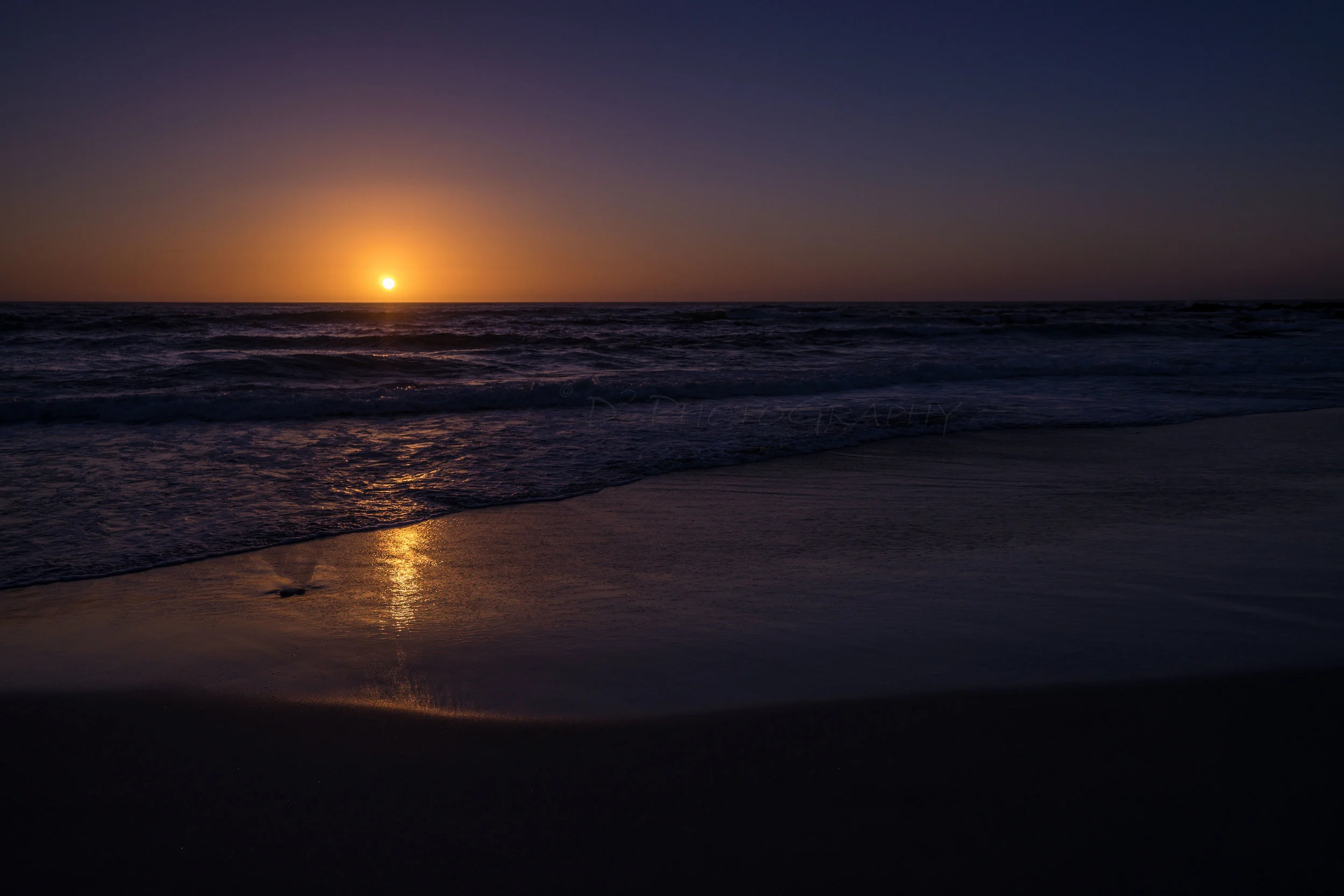 DSC01311 f.jpg