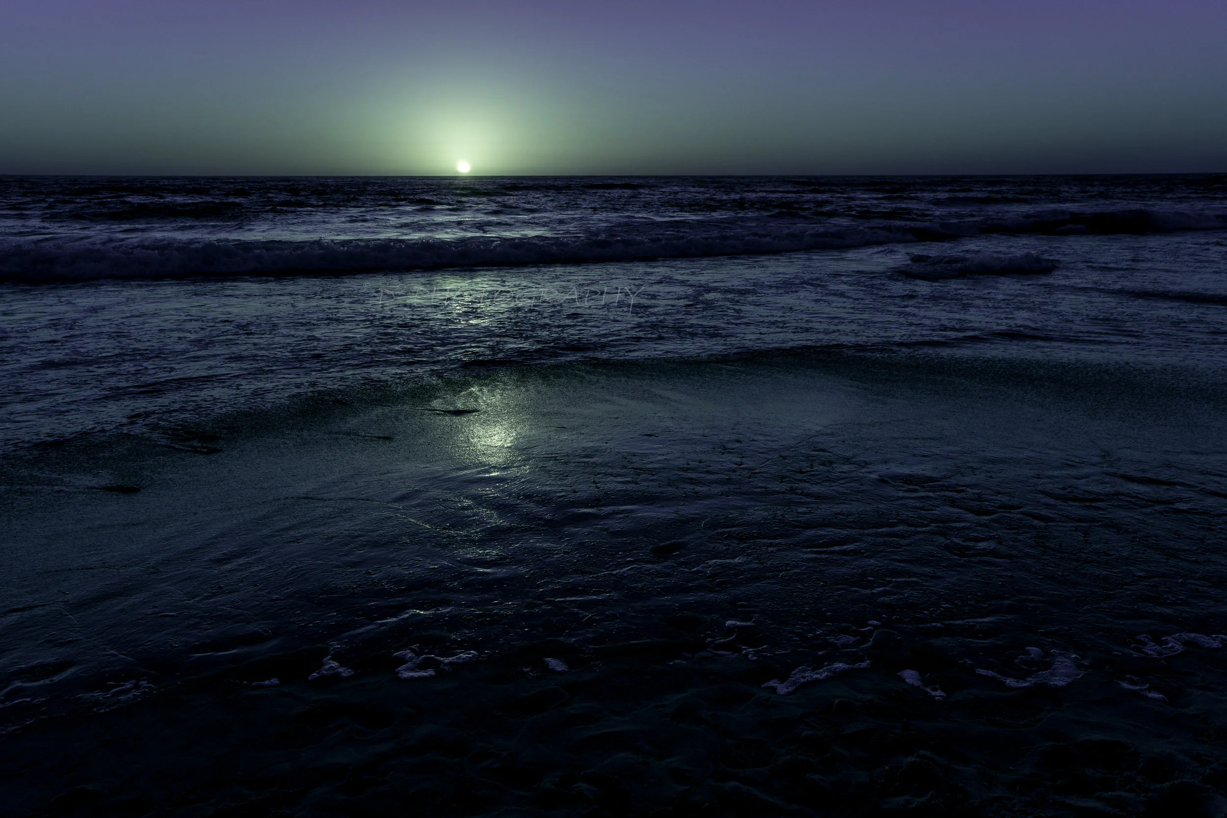 DSC01337 f.jpg
