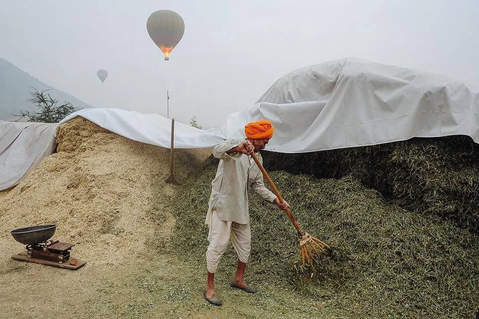 Image by Rohit Vohra