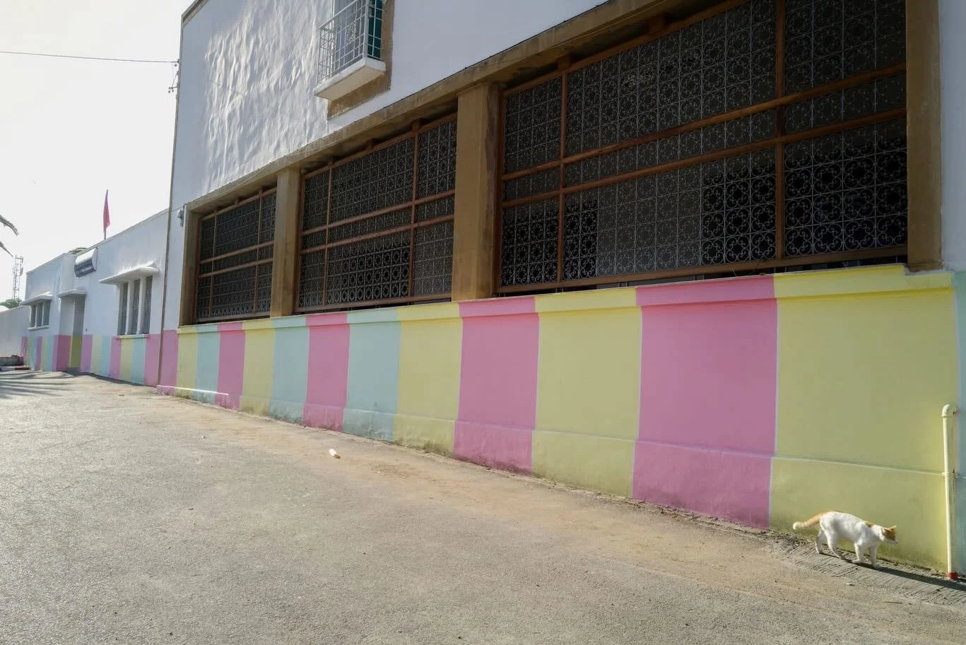 North Morocco Part 2, 2019
With Vesna, my best friend ever :)