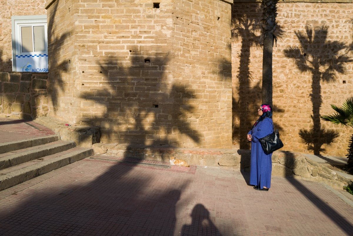 L1010666.jpg