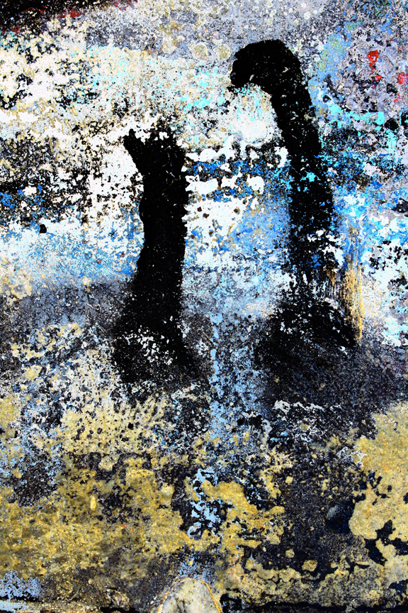 The Black Swans by Mick Victor from the Art Unexpected series