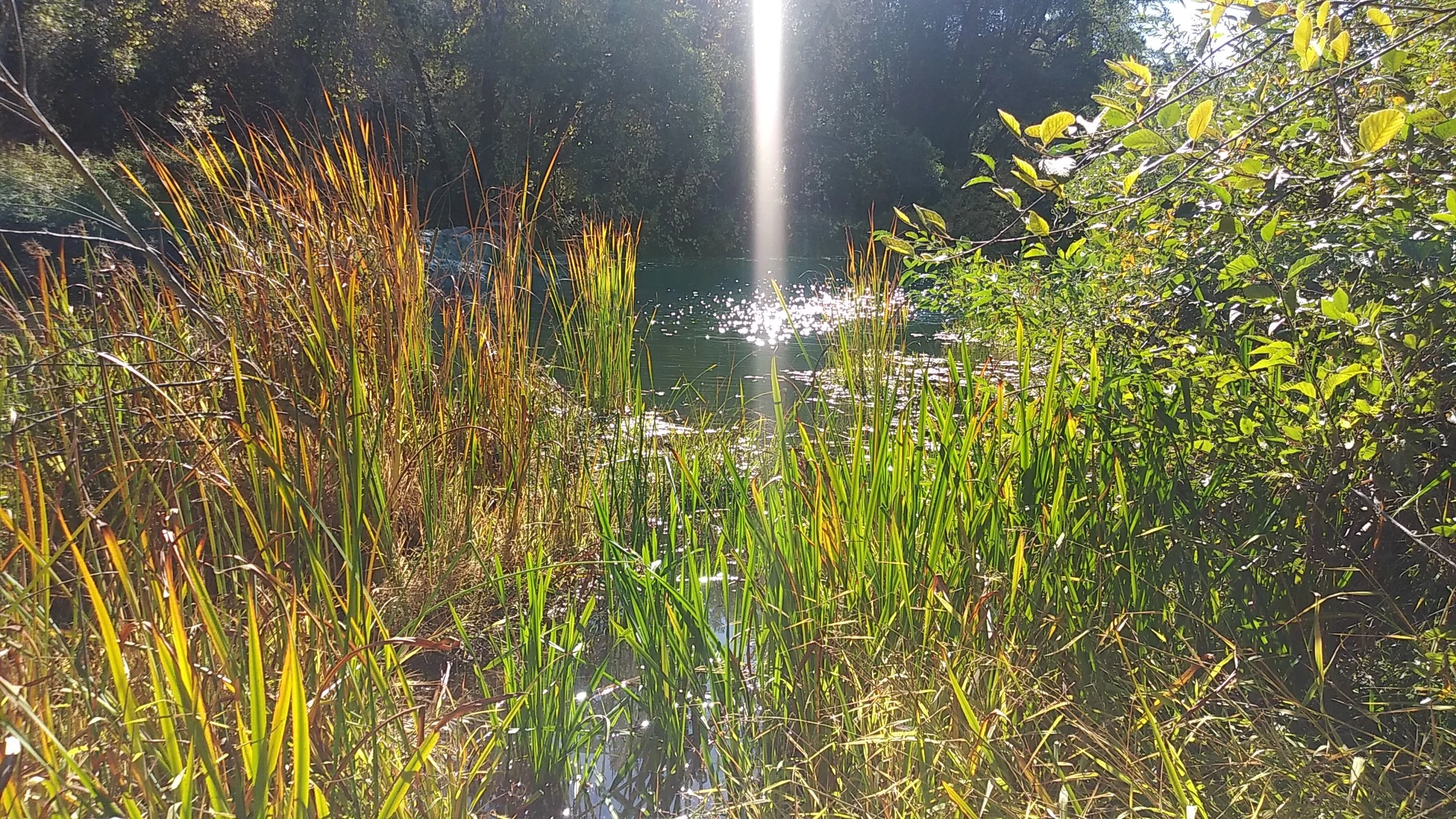 20181022_142509.jpg