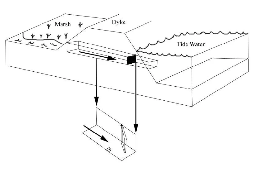 AAUP0001000c.jpg
