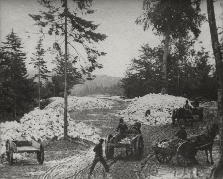   Horses hauling two wheel dump carts full of gypsum from the quarry down to the train.   19 September 1890   Hillsborough, New Brunswick, Canada  