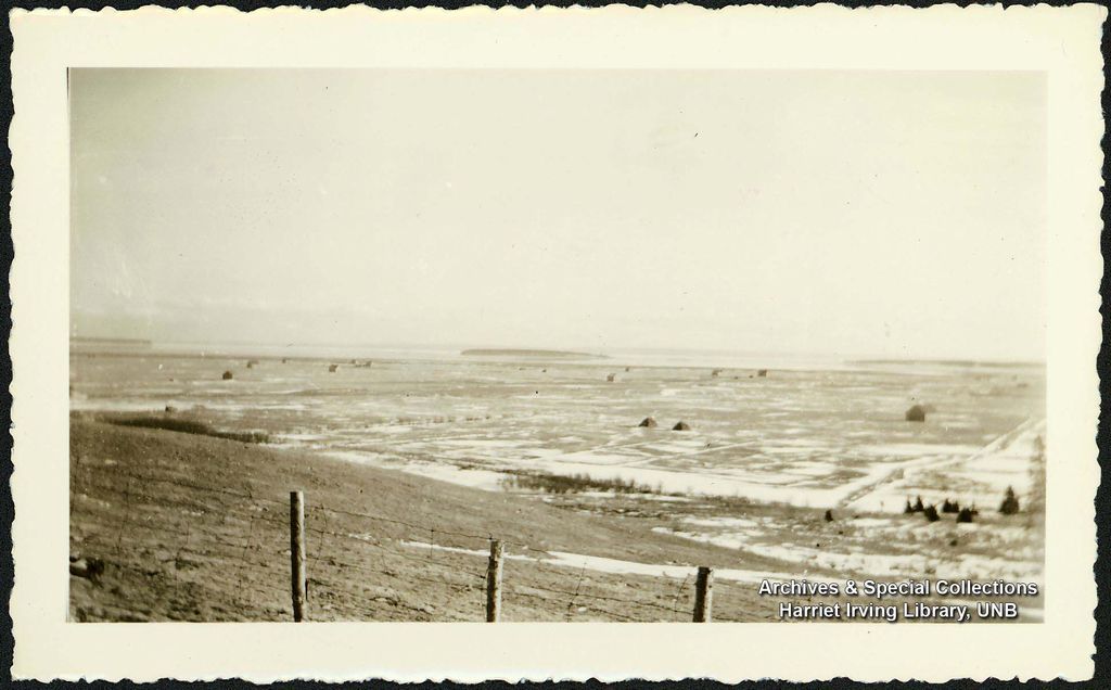  View of Grindstone Island from Hopewell Hill Circa 1940 Hopewell Hill, Albert County, New Brunswick, Canada  Grindstone Island sits quietly in Shepody Bay off the tip of Mary's Point, Albert County, New Brunswick. The island is visible from Hopewell