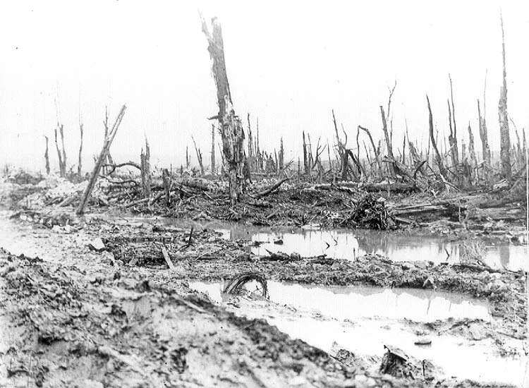 aftermath1_lg.jpg