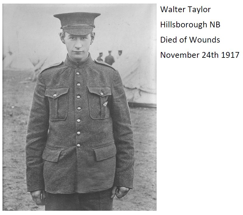 Taylor Nov 24 1917.JPG