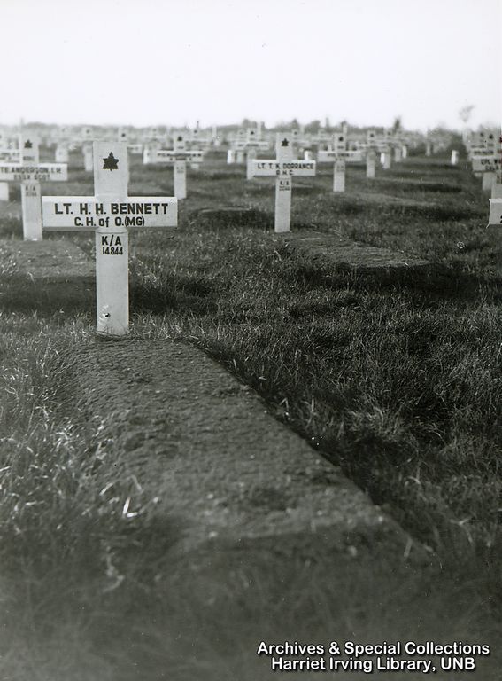 AAUP0002001b.jpg